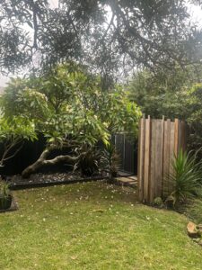 22-griffin-road-north-curl-curl-23