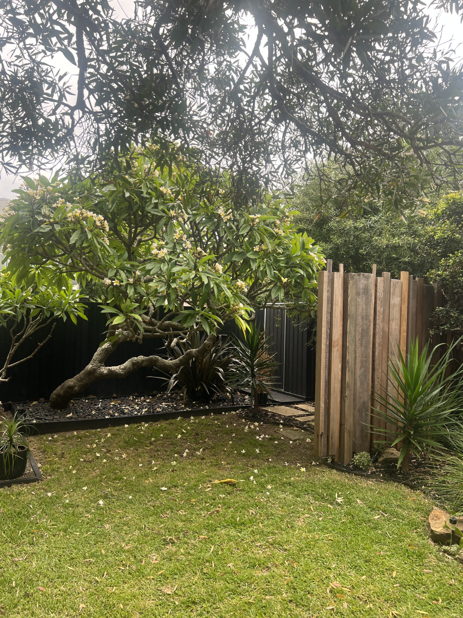 22-griffin-road-north-curl-curl-23