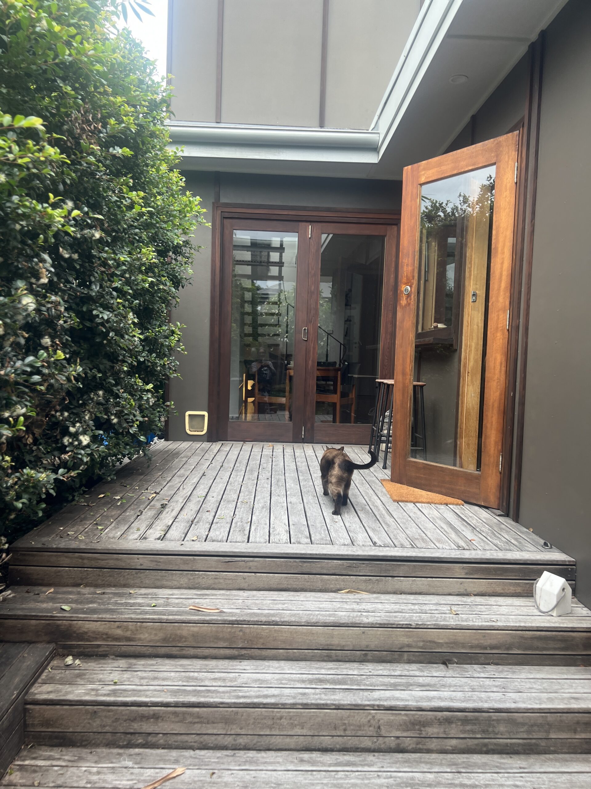 22-griffin-road-north-curl-curl-23